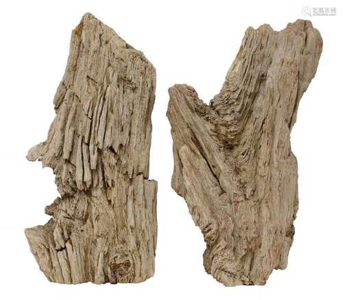 A near pair of Madagascan petrified tree segments,