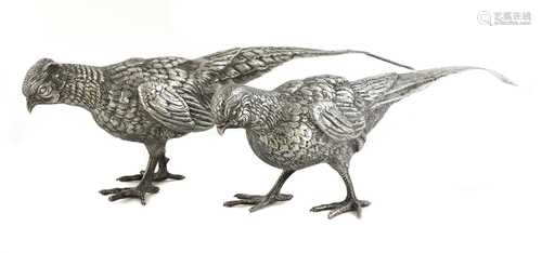 A pair of large Continental silver pheasants,