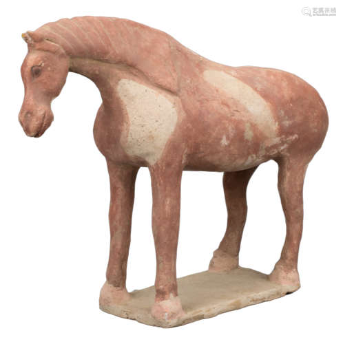 CHINESE TANG DYNASTY PAINTED POTTERY HORSE