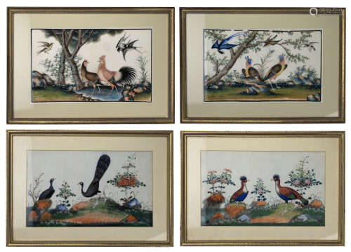 SET OF FOUR CHINESE FRAMED RICE PAPER PAINTINGS, 19/20th CEN...