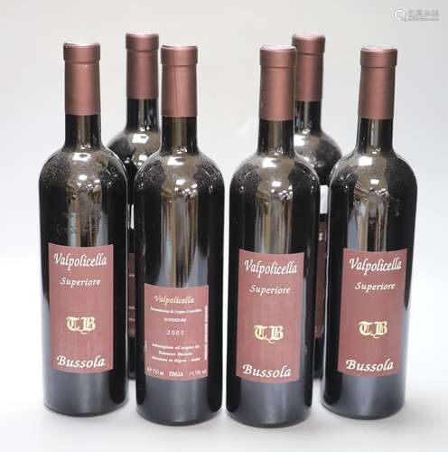 Six bottles of Tommasso Bussola TB Valpolicella Classico Sup...