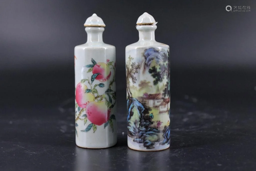 Pair of Qing Porcelain Famille Rose Snuff Bottle