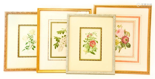 Collection Framed Antique Botanical Lithographs