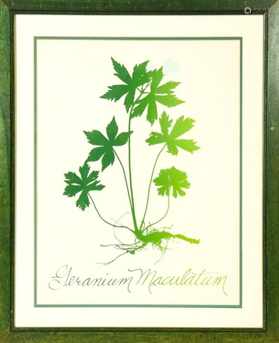 Madeline & Robert Longstreet Botanical Print