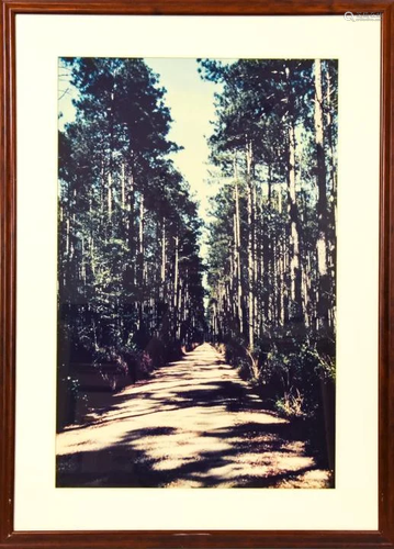 Framed Nature Landscape Photograph