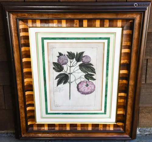 Custom Florentine Italian Frame w Botanical Print