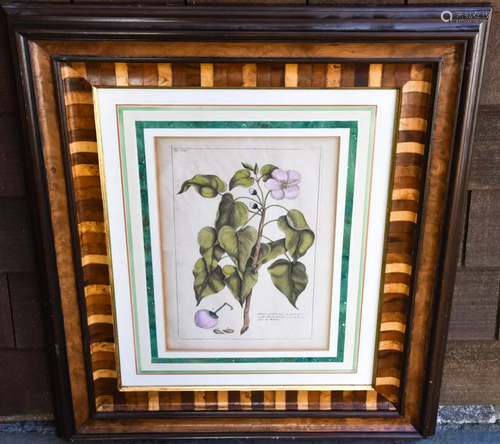 Custom Florentine Italian Frame w Botanical Print