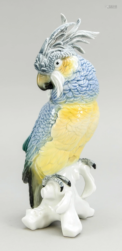 Cockatoo, Ens, model number 71