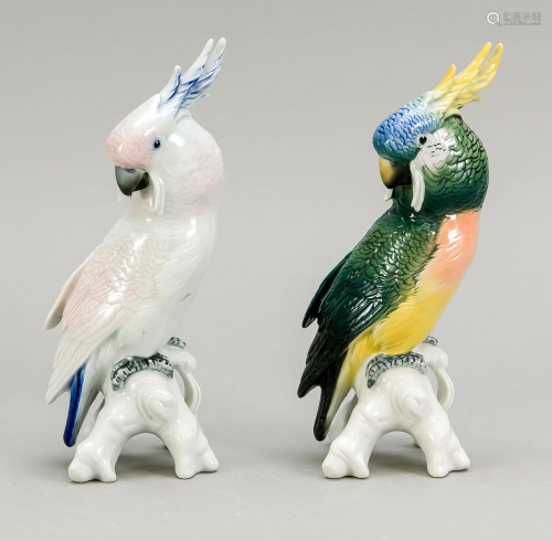 Two parrots on pedestal, polyc