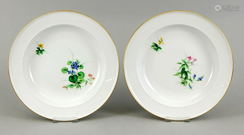 Two deep plates, Meissen, 1950