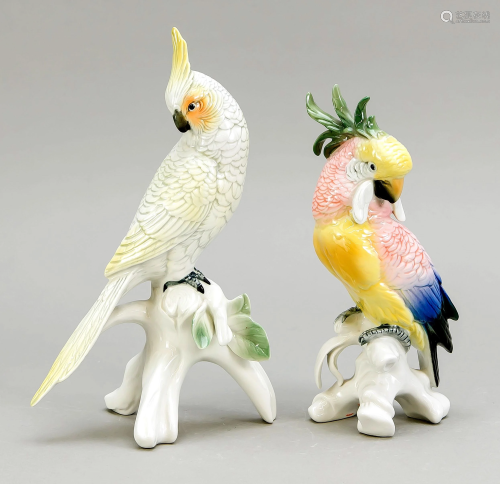 Two cockatoos on pedestal, Two