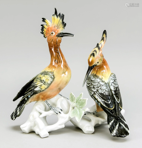 Pair of hoopoes, Ens, model nu