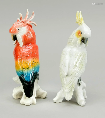 Two cockatoos on pedestal, Ens