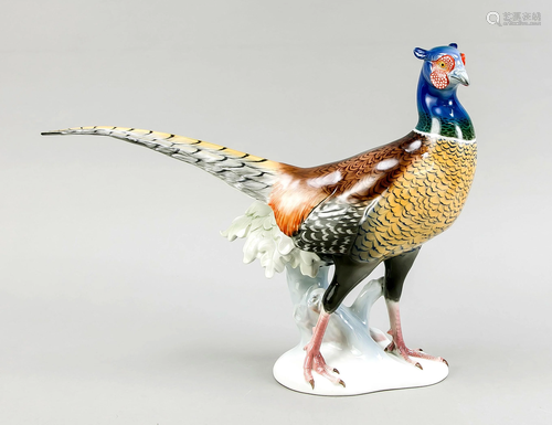 Prancing pheasant, Rosenthal,