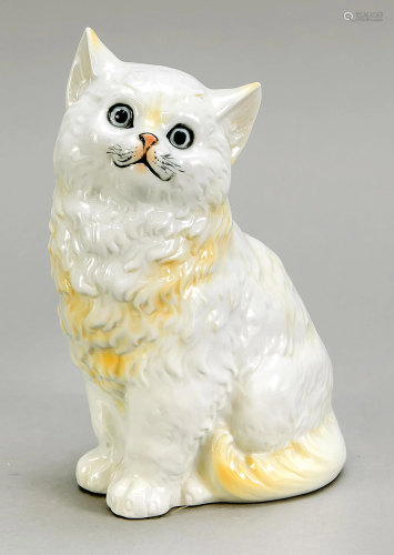 Sitting cat, Ens, Yellowish an