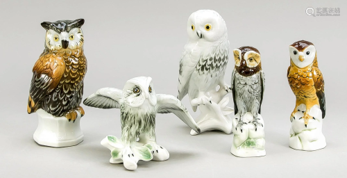 Five owls, Different shapes an