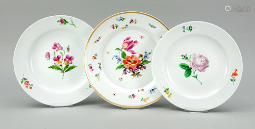 Three plates, flower painting,