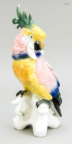 Cockatoo, Ens, model number 71