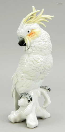 Cockatoo, Ens, model number 71