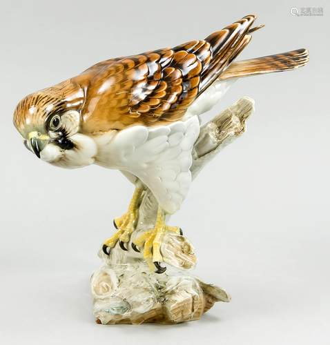 Kestrel, Hutschenreuther, 1950