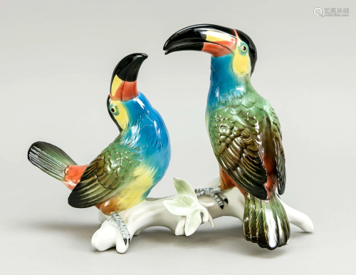 Couple of toucans on a branch,