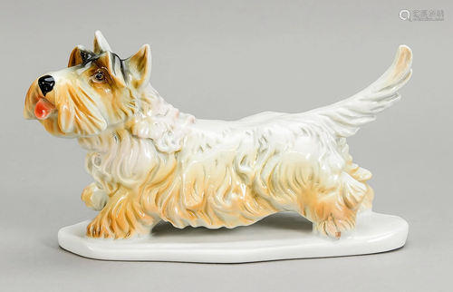 Terrier, Ens, polychrome paint