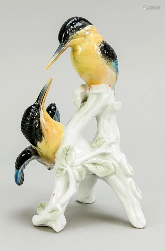 Kingfisher pair, Ens, model nu