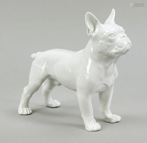 French bulldog, Meissen, after