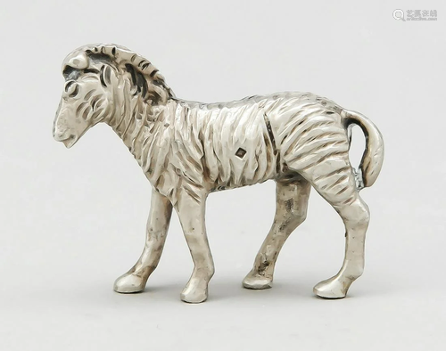 Miniature zebra, 2nd half of 2