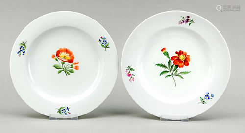 Two plates, Meissen, Knauff-Sc