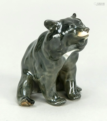 Collar bear, sitting, Meissen,