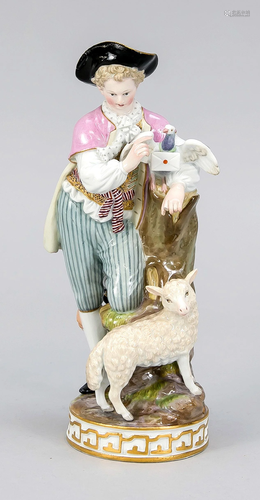 Shepherd with carrier pigeon,