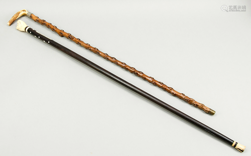 Two walking sticks, w. 19th c.