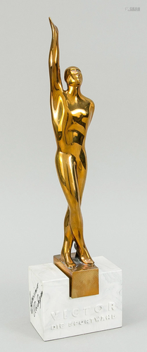 Sports memorabilia/award troph