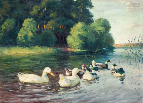 Hans TÃ¼bbecke (1887-1959), Ducks on