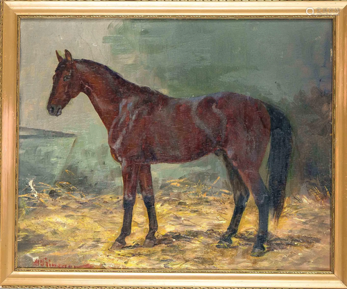 M. Plinzner (1859-?), German horse p