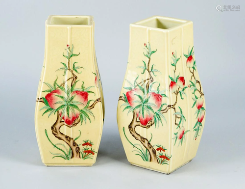 Pair of Chinese porcelain vases