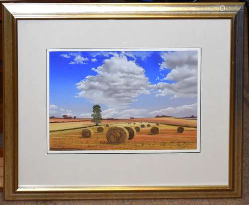 Tony Garner, Hayfield, pastel, signed lower right, 26 x 38cm...