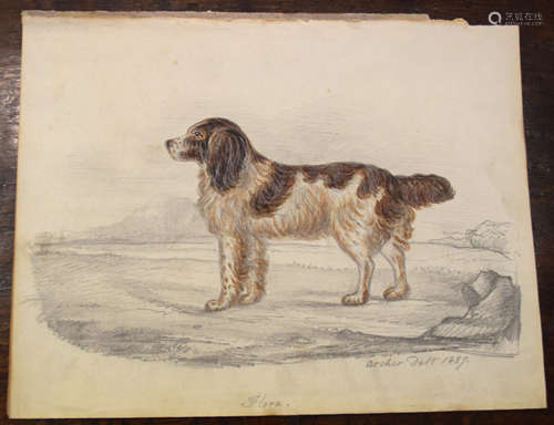 Archer, Dog in landscape, pencil and watercolour, inscribed ...