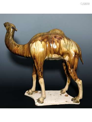 A SANCAI FIGURE OF CAMEL