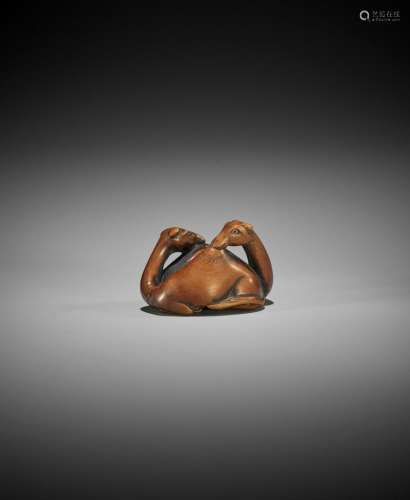 TAKETATSU: A VERY RARE WOOD NETSUKE OF TWO CAMELS