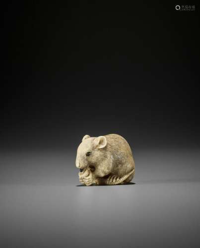 OKATORI: A SUPERB IVORY NETSUKE OF A RAT EATING A CANDLE