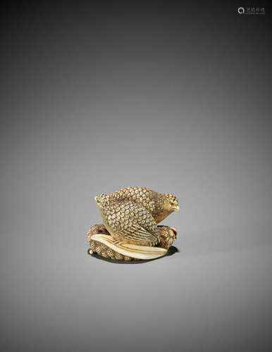 OKATOMO: AN IVORY NETSUKE OF TWO QUAILS ON MILLET