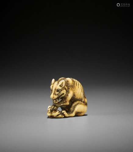 TOMOTADA: A FINE IVORY NETSUKE OF A WOLF WITH HAUNCH OF VENI...