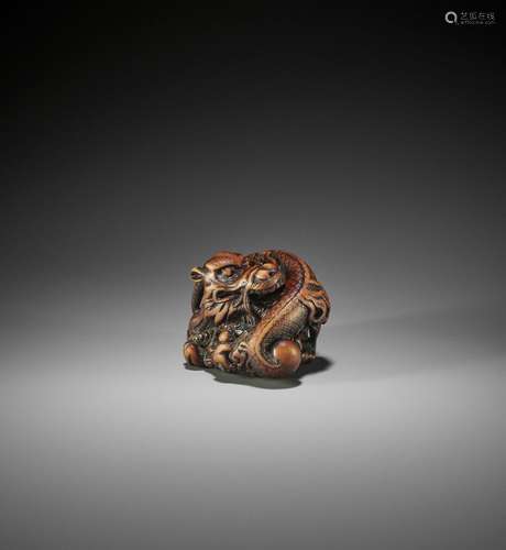 A POWERFUL AND RARE WOOD NETSUKE OF A COILED DRAGON, ATTRIBU...