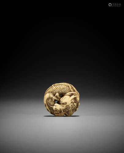 A FINE WALRUS TOOTH MANJU NETSUKE OF A COILED DRAGON