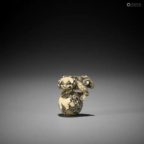 ANRAKU: A SUPERB IVORY NETSUKE OF A SHISHI WITH BALL