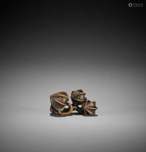 A FINE TANBA SCHOOL WOOD NETSUKE OF A CLUSTER OF WINTER CHER...