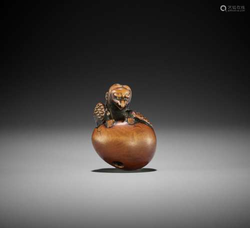 TOYOYO: A SUPERB WOOD NETSUKE OF A HATCHING TENGU