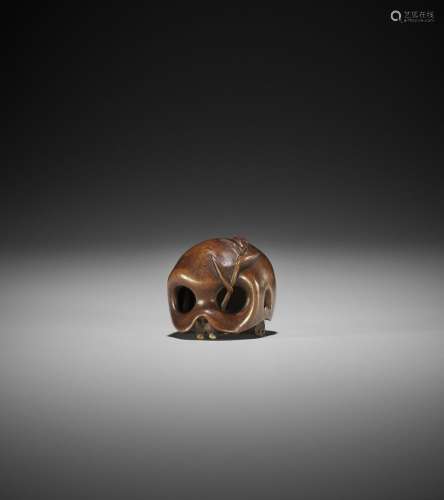A FINE WOOD NETSUKE OF A SKULL WITH BAMBOO SHOOT